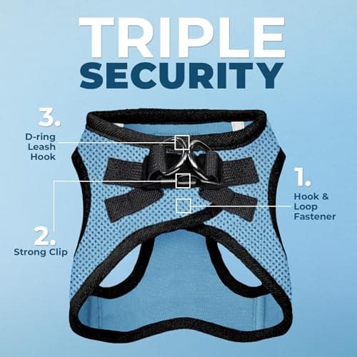 Best Pet Supplies Voyager All Weather No Pull Step-in Mesh Dog Harness with Padded Vest, Best Pet Supplies, Small, Baby Blue Base