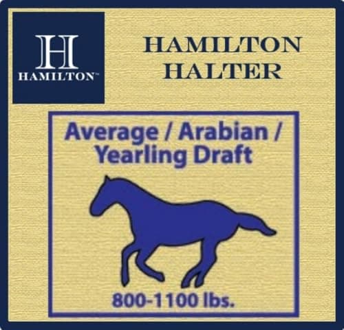 Hamilton 1DAS AVNV 1-Inch Nylon Halter with Adjustable Chin, Navy Blue - Average Size, 800-1100-Pounds — view 3
