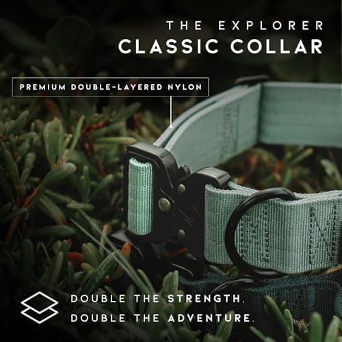 Made to ROAM Premium Dog Collar - Adjustable Heavy Duty Nylon Collar with Quick-Release Metal Buckle (California Horizon, Classic Size 4) — view 2