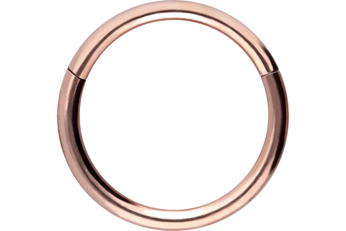 PIERCINGLINE Anillo segmento Clicker de acero quirúrgico – Piercing en oro, plata, rosa, negro o azul – para nariz, tabique, oreja, hélice o tragus — view 81
