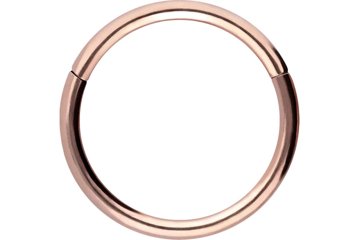 PIERCINGLINE Anillo segmento Clicker de acero quirúrgico – Piercing en oro, plata, rosa, negro o azul – para nariz, tabique, oreja, hélice o tragus — view 69