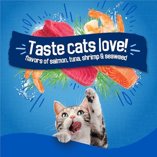 Purina Friskies Dry Cat Food Seafood Sensations With Salmon, Tuna, and Shrimp Flavors - (Pack of 4) 3.15 lb. Bags — view 3