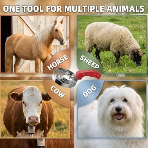 Premium Equigroomer Horse Brush & Curry Comb Set - Reversible Stainless Steel Shedding Tool for Horses, Dogs & Livestock - Ergonomic Deshedding Brush for Grooming & Bathing (1Pc) — view 3