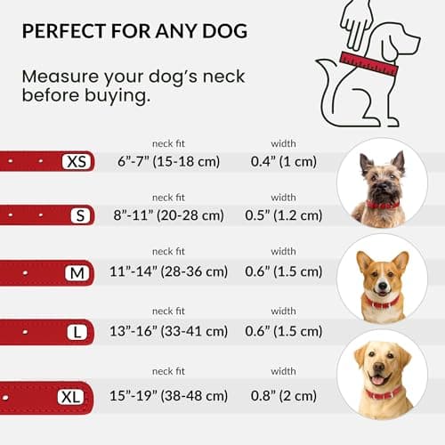 CollarDirect Rolled Leather Dog Collar, Soft Padded Round Puppy Collar, Handmade Genuine Leather Collar Dog Small Large Cat Collars (Red Smooth, 23-28 cm) — view 4