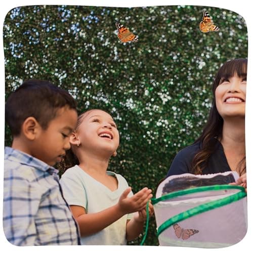 Insect Lore Raise and Release Butterfly Garden Kit – Caterpillar Habitat with redeemable Voucher – STEM-accredited Butterfly Growing Kit for Kids, Classrooms, and Homeschool Learning — view 5