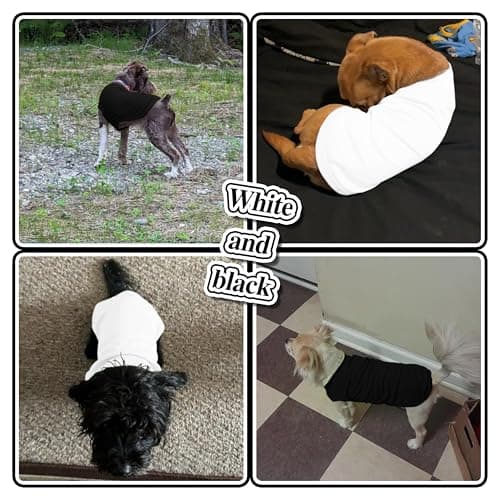 2 Pack Solid Color Dog Shirts - Lightweight, Quick Dry, Breathable Pet T-Shirts for Small to Large Dogs - Stretchy, Durable, Ideal for All Seasons and Holidays.Black White M — view 4