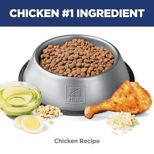 Hill's Science Diet Adult Sensitive Stomach & Skin Small & Mini Dry Dog Food, Chicken, 4 lb. Bag (Updated Formula) — view 5