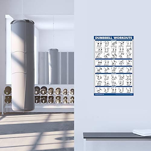 Palace Learning Dumbbell Workout Exercise Poster - Free Weight Body Building Guide | Home Gym Chart - LAMINATED, 18" x 24" — view 4