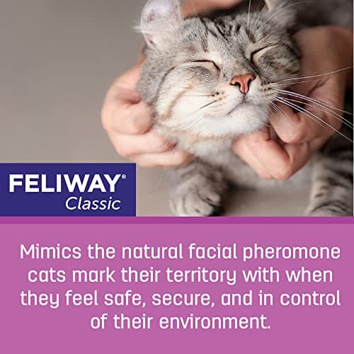 FELIWAY Classic Diffuser Refill, Promotes Calmness in Cats & Kittens, VHP Registered NN.P4B8, includes 1 Refill, Lasts 30 Days, Cat Calming Pheromones, 48ml — view 2