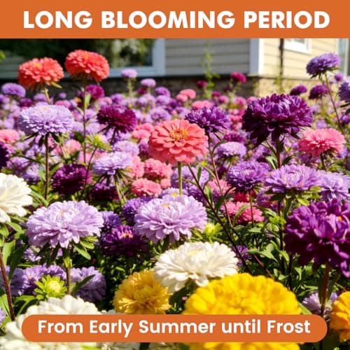 Fruivity Zinnia Seeds for 2026 Planting, 5000+ Flowers Seeds, 7 Vibrant Colors Mix & Large Bloom, Heirloom Wildflower Seeds for Pollinator Garden Outdoor Borders, Easy to Grow Annual Flowers — view 3