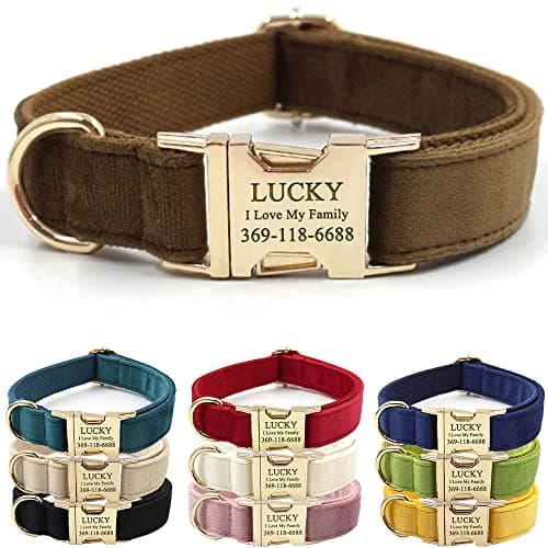 PETDURO Custom Dog Collar Personalized with Name Engraved Gold Metal Buckle for Large Medium Small Boy and Girl Dogs - Dog Leash and Bow Tie Set Available - Soft Comfy Velvet (Brown G, L)