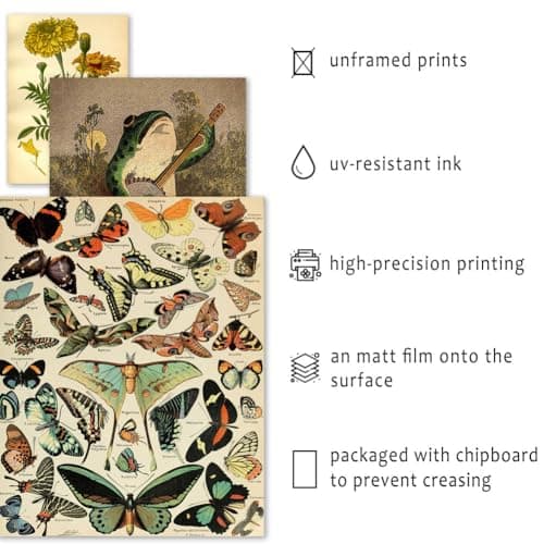 ANERZA 16 PCS Vintage Wall Art Decor, Botanical Cottagecore Wall Collage Kit for Bedroom, Farmhouse Posters for Room Aesthetic, Wall Prints Pictures for Living Room, Rustic Dorm Gallery Home Decor — view 2