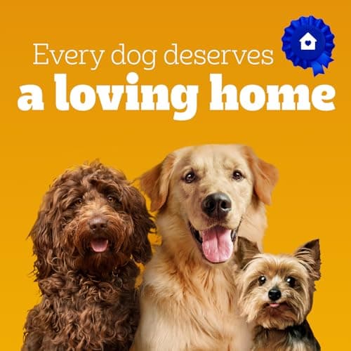 PEDIGREE VITALITY+ Dry Food For Adult Dogs – Hearty Beef & Vegetable Flavour - Supports Strong Bones and Healthy Teeth - With Calcium, 8kg Bag — view 5
