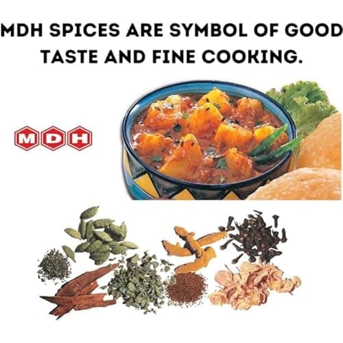 MDH AMCHUR POWDER Masala 100g/3.5 Oz — view 3