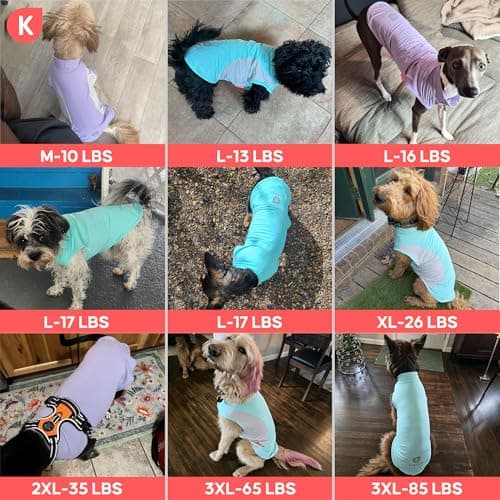 KYEESE 2Pack Dog Cooling Shirt with UPF 50+ UV Protection, Blue, 2XL — view 6