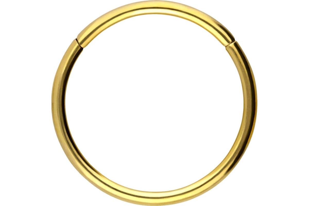 PIERCINGLINE Anillo segmento Clicker de acero quirúrgico – Piercing en oro, plata, rosa, negro o azul – para nariz, tabique, oreja, hélice o tragus — view 118