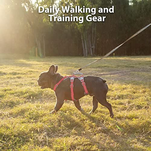 Huntboo Escape Proof Dog Harness, No Pull Reflective Harness with Lift Handle, Adjustable Pet Vest with Front and Back Leash Clips for Small Medium Large Dogs Walking Hiking Training (Red,L) — view 6