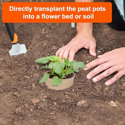 JNYONG 60 Packs 3.15 Inch Peat Pots,Biodegradable Pots for Seedlings with Drainage Holes, Garden Germination Nursery Pots with 50Pcs Plant Labels — view 4