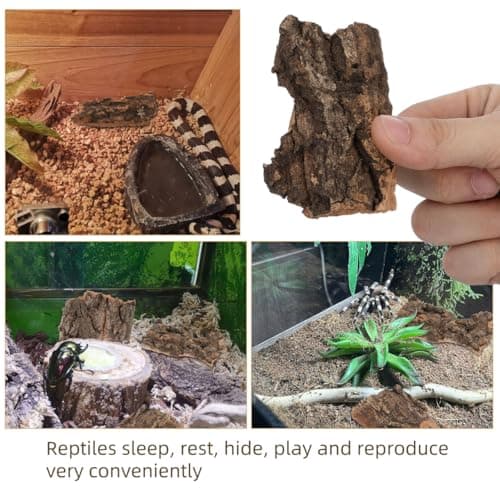 Toddmomy 10Pcs Reptile Tree Bark Decor 3.93X3.54In Natural Cork Bark for Gecko Turtle Lizard Climbing and Basking Platform Terrarium Accessories — view 3