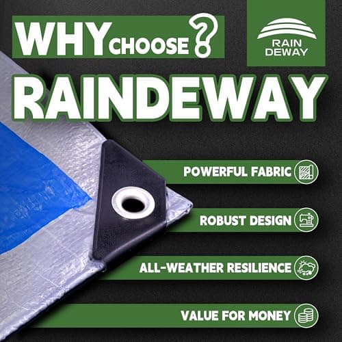 RAINDEWAY Tarps 8x10 Feet, 5.5 Mil - Multipurpose Waterproof Poly Tarp Cover with Metal Grommets and Reinforced Edges, Silver/Blue Tarp