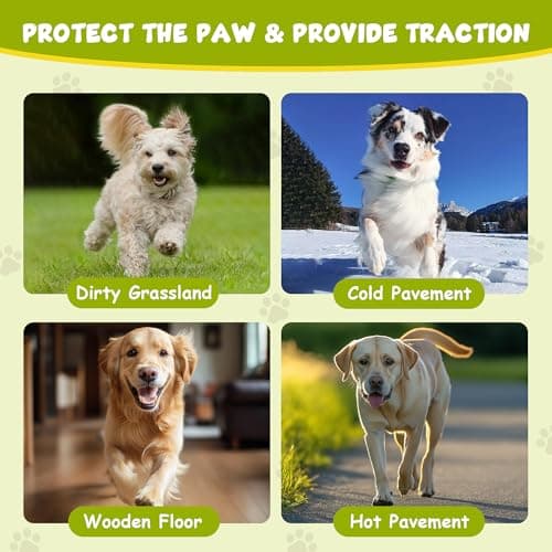 Dapaw Dog Paw Protector Pads, Anti-Slip Paw Grip for Senior & Injured Dogs on Hardwood & Tile Floors, Paw Stickers for Hot Pavement with Strong Traction (5 Sets, 20 Pcs) M — view 2