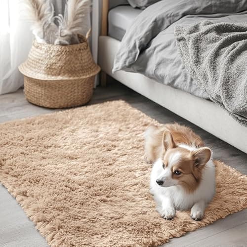 OLANLY Fluffy Area Rug for Living Room Bedroom, 2x3 Feet Soft Shaggy Non-Slip Carpet, Indoor Modern Plush Area Rugs for Kids Girls and Boys, Dorms, Nursery Rooms, Home Decor, Beige