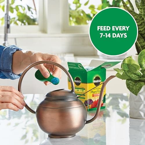 Miracle-Gro Water Soluble All Purpose Plant Food, 1.5 lbs. — view 8