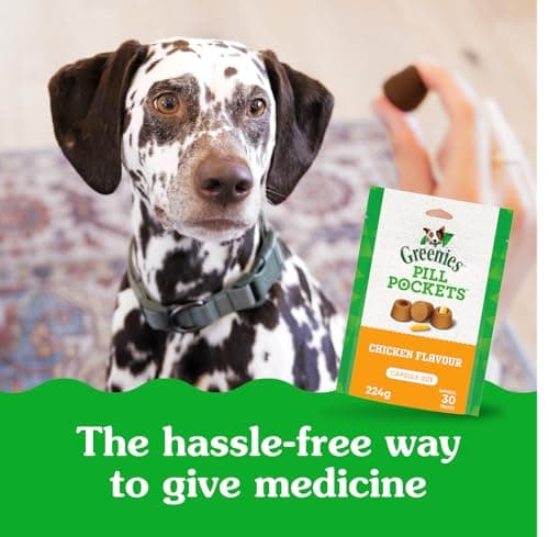 GREENIES PILL POCKETS Dog Treats Capsule Size Natural Soft Chicken Flavor, (30 Treats) 7.9oz. Pack — view 3