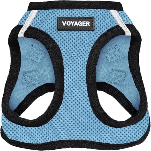 Best Pet Supplies Voyager All Weather No Pull Step-in Mesh Dog Harness with Padded Vest, Best Pet Supplies, Small, Baby Blue Base