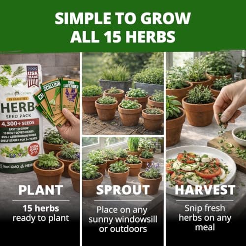 HOME GROWN Herb Seeds for Planting 15-Pack Massive Seed Count 4,300+ Seeds Non-GMO Heirloom | Extra Large | Culinary Herb Kit, Indoor Outdoor & Hydroponic | Grow Your Own Herbs | Gardening Gift