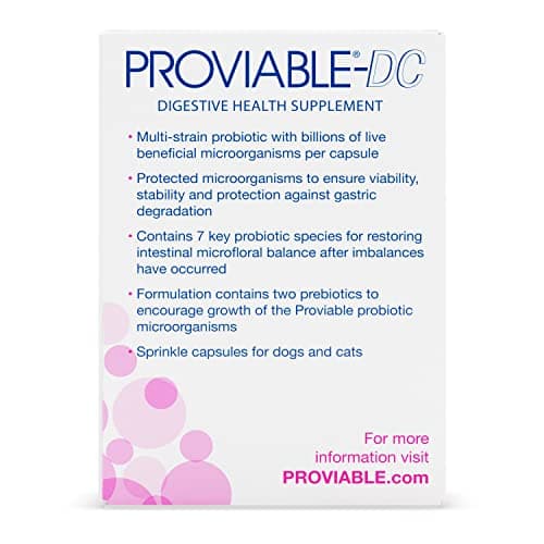 Nutramax Proviable Probiotics for Dogs and Cats, Daily Digestive Health Supplement with Multiple Strains of Bacteria, Cat and Dog Probiotics Plus Prebiotics, 30 Capsules — view 3