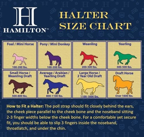 Hamilton 1DAS AVNV 1-Inch Nylon Halter with Adjustable Chin, Navy Blue - Average Size, 800-1100-Pounds — view 2