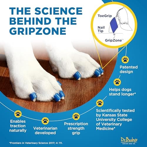 Dr Buzby's Large ToeGrips for Dogs - Instant Traction on Wood/Hardwood Floors - Anti Slip Relief - Grippers for Senior Dogs - Stop Sliding Instantly - Rubber Nails for Paws - 1 Pack (20 Grips) — view 7
