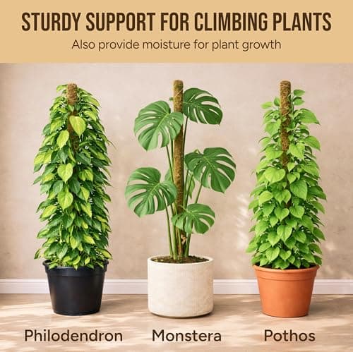 Moss Pole Monstera Plant Support, 2 Pack 48in Bendable Indoor Plant Stakes — view 4