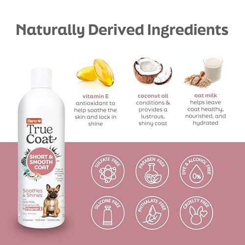 True Coat Short & Smooth Coat Dog Shampoo, 5 in 1 Soothes & Shines with Oat Milk, Coconut Oil & Vitamin E, 16 oz — view 3