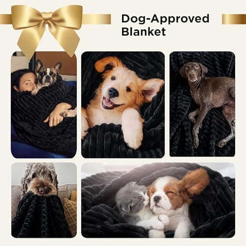Bedsure Living Room Decor Home Black Throw Blanket Gifts for Women Men, Soft Fluffy Fleece Cozy Fuzzy Plush Warm Couch Bed Blanket, Bedroom Spring Decor Black Gifts for Him Her, 50x60 — view 2