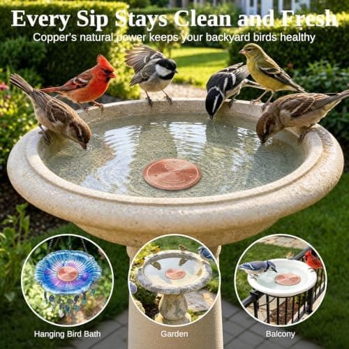 Azomabox Copper Disc for Bird Bath, 99.9% Pure Copper (Dove) — view 3