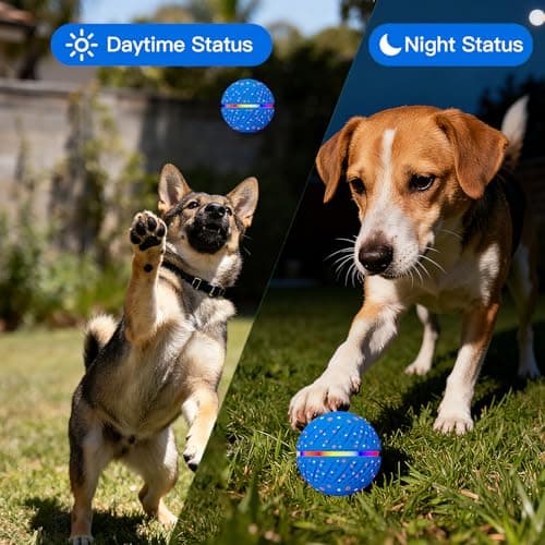 morhandisn Interactive Dog Toys: Self Rolling & Bouncing Ball to Keep Them Busy, 3 Modes, Type-C Fast Charging, Durable E-TPU & IP54 Waterproof - Best for Small/Medium Breeds & Puppies (Blue, Medium) — view 5