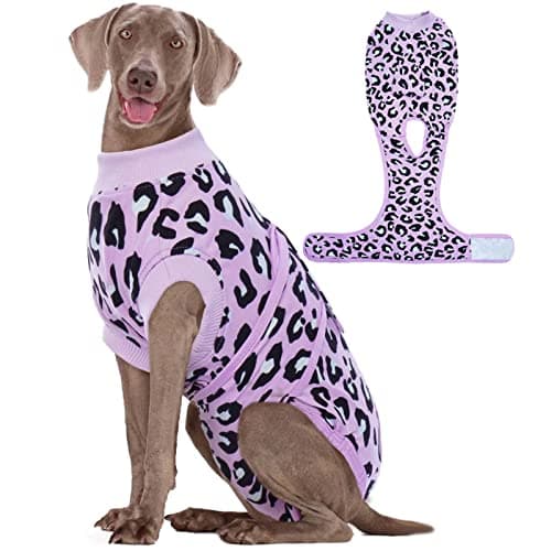 Kuoser Surgical Recovery Suit for Dogs Cats, Pet Leopard Printed Recovery Shirt After Surgery for Abdominal Wounds, Dog Cone E-Collar Alternative Spay Bandages Onesie, Dog Anti Licking Snugly Suit