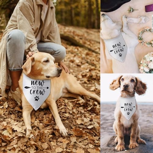 New to The Crew Dog Bandana New Puppy Announcement Gift for New Owners Puppy Bandana Dog Owner Gifts Triangle Bibs Scarf Accessories for Small Medium Dogs Pets — view 4