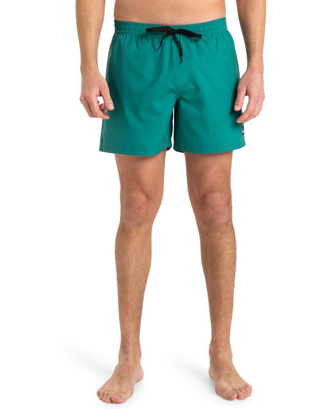 Quiksilver - Everyday Volley 15" Jam/Volley para Hombre — view 11