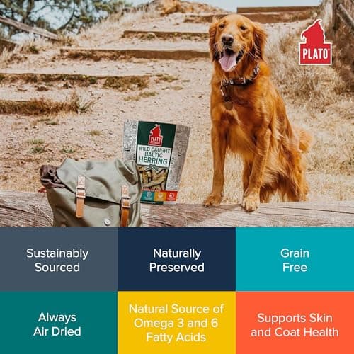 Plato Pet Treats Fish Dog Treats - Air-Dried, Single Ingredient Pet Treat - Omega 3 & 6 Fatty Acids to Support Skin and Coat - 100% Whole Fish - Wild Caught Baltic Herring - 3oz - 2 Pack — view 4