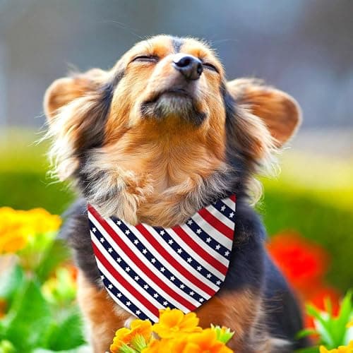 4th of July Dog Bandana Reversible 2 Pack Small, Red White and Blue Dog Paw Star Patriotic Dogs Bandanas Set Adjustable Triangle Holiday Scarves for Memorial Day Small Medium Boy Girl Dogs — view 2