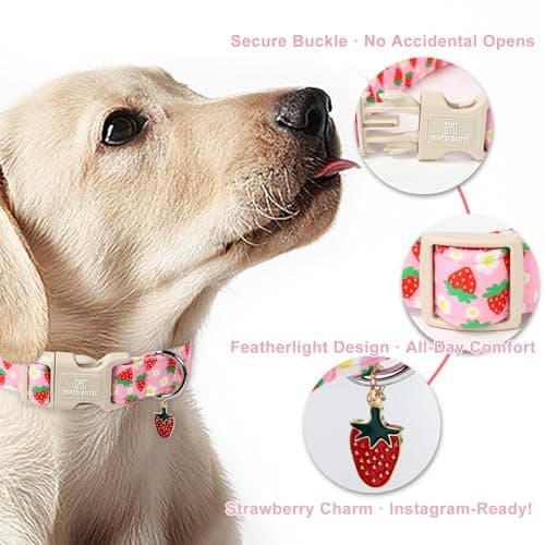Maca Bates Pink Strawberry Basic Dog Collar for Medium Girl Boy Dogs with Cute Strawberry Charm,Strawberries Pattern, Adjustable Durable Soft Blueberry Birthday Gift Collars for Male Female Puppy — view 5