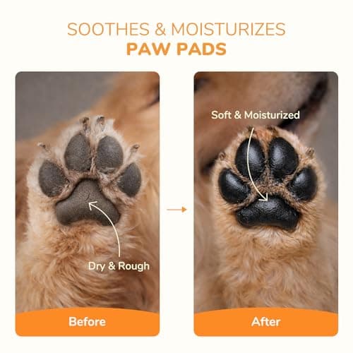 HUTVRACC Lick-Safe Dog Paw & Nose Balm | 2.1 oz All Natural Wax with Coconut Oil & Shea Butter | Winter Snow, Road Salt & Hot Pavement Protector | Moisturizer for Dry, Rough Pads & Snouts — view 2