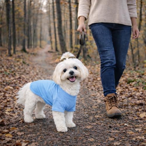 Lovelonglong Pet Clothing Dog Costumes Basic Blank T-Shirt Tee Shirts for Small Dogs Light-Blue M — view 7