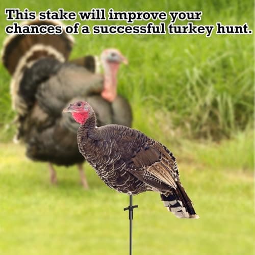 SHILIU 4pcs Turkey Decoy Hunting Stakes, Lightweight Collapsible Turkey Decoys Replacement Stake Fiberglass Portable Decoy Poles for Outdoor LCD Turkey Decoys Hunting Accessories — view 3