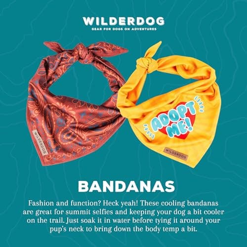 Wilderdog Dog Bandana with Lightweight Quick Drying Poly-Blend Mesh Material in Cowpoke — view 2
