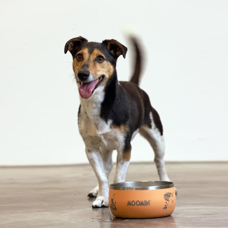 Soho Poms Moomins Dog Bowl | Peach Lunar 1L Stainless Steel Dog Bowls for Food or Water, Metal Anti Slip Pet Bowl for Dogs & Puppy, Durable Scratch Resistant Design, Dishwasher Safe | Everyday Feeding — view 3