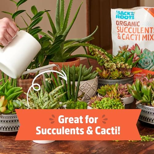 Back to the Roots 100% Organic Succulent & Cacti Mix (6 Quart) | Made in the USA | Premium Nutrition for Indoor and Outdoor Plants — view 2
